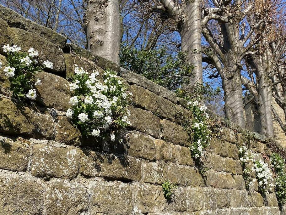 Garden Cottage - Ashover Village near Matlock Chesterfield Exteriör bild